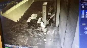 横栏最新爆料视频播放,精彩瞬间一网打尽  第2张